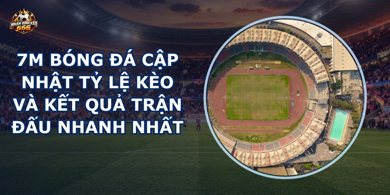7m bóng đá