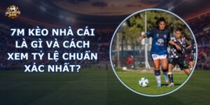 7m kèo nhà cái