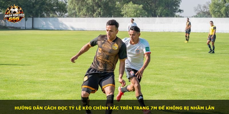 Hướng dẫn cách đọc tỷ lệ kèo chính xác trên trang 7m để không bị nhầm lẫn