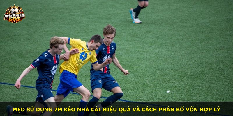Mẹo sử dụng 7m kèo nhà cái hiệu quả và cách phân bổ vốn hợp lý