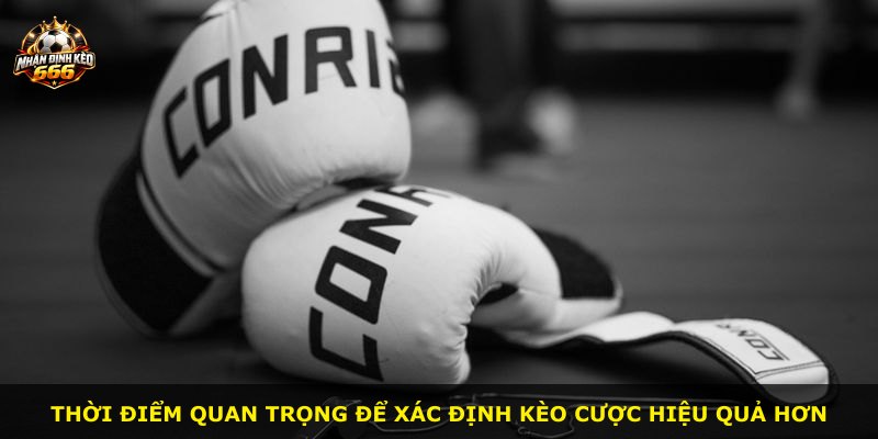 Thời điểm quan trọng để xác định kèo cược hiệu quả hơn