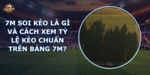 7m soi kèo