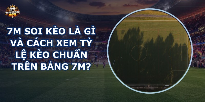 7m soi kèo