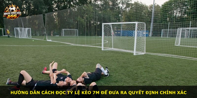 Hướng dẫn cách đọc tỷ lệ kèo 7m để đưa ra quyết định chính xác