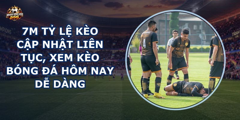 7m tỷ lệ kèo