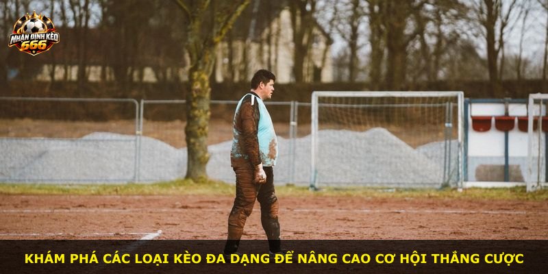 Khám phá các loại kèo đa dạng để nâng cao cơ hội thắng cược