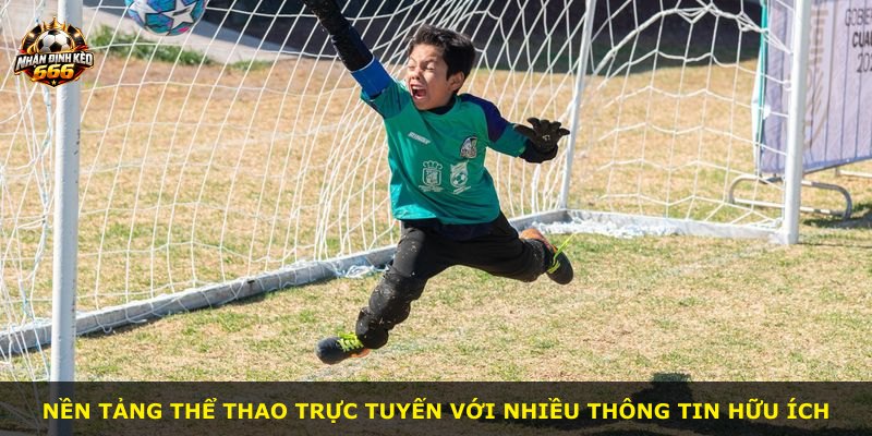 Nền tảng thể thao trực tuyến với nhiều thông tin hữu ích
