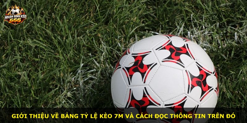 Giới thiệu về bảng tỷ lệ kèo 7m và cách đọc thông tin trên đó