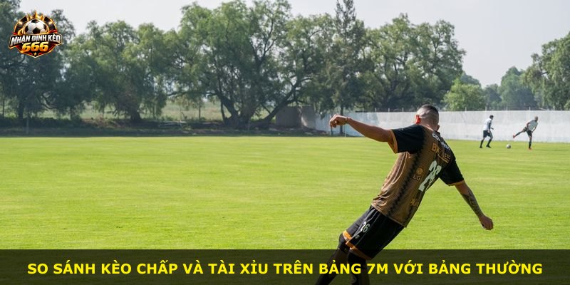 So sánh kèo chấp và tài xỉu trên bảng 7m với bảng thường