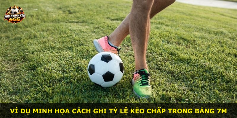 Ví dụ minh họa cách ghi tỷ lệ kèo chấp trong bảng 7m