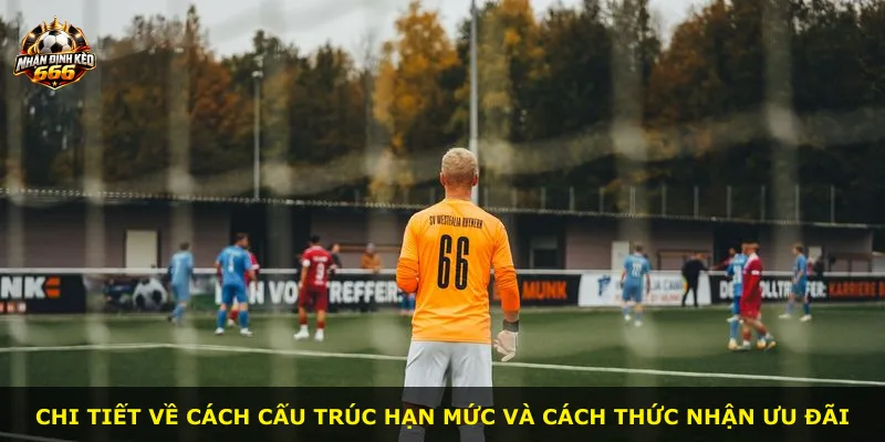 Chi tiết về cách cấu trúc hạn mức và cách thức nhận ưu đãi