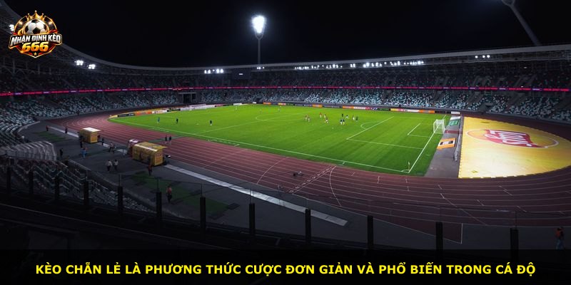 Kèo chẵn lẻ là phương thức cược đơn giản và phổ biến trong cá độ