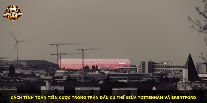 Cách tính toán tiền cược trong trận đấu cụ thể giữa Tottenham và Brentford