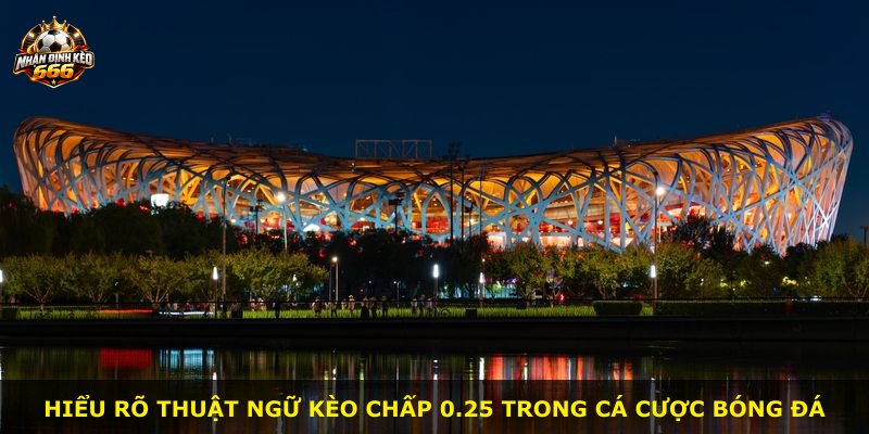 Hiểu rõ thuật ngữ kèo chấp 0.25 trong cá cược bóng đá