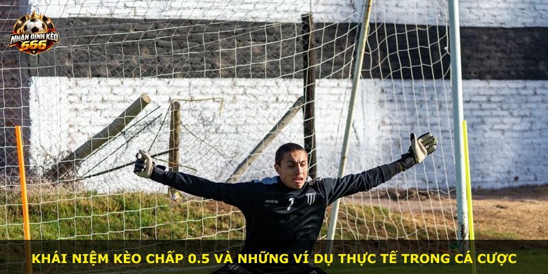 Khái niệm kèo chấp 0.5 và những ví dụ thực tế trong cá cược