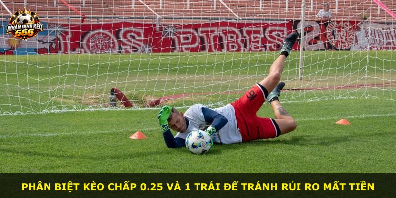 Phân biệt kèo chấp 0.25 và 1 trái để tránh rủi ro mất tiền
