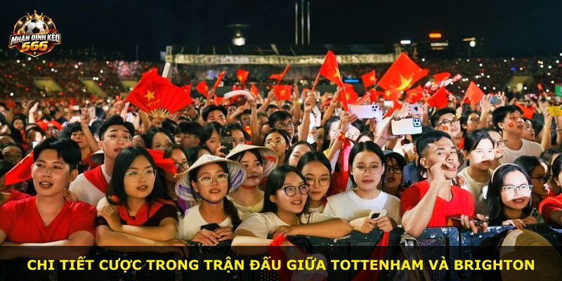 Chi tiết cược trong trận đấu giữa Tottenham và Brighton