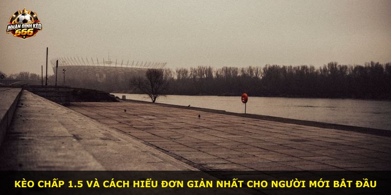 Kèo chấp 1.5 và cách hiểu đơn giản nhất cho người mới bắt đầu