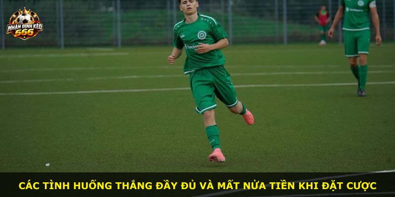 Các tình huống thắng đầy đủ và mất nửa tiền khi đặt cược