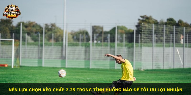 Nên lựa chọn kèo chấp 2.25 trong tình huống nào để tối ưu lợi nhuận