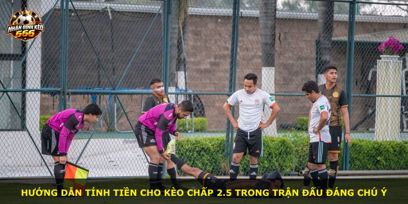 Hướng dẫn tính tiền cho kèo chấp 2.5 trong trận đấu đáng chú ý