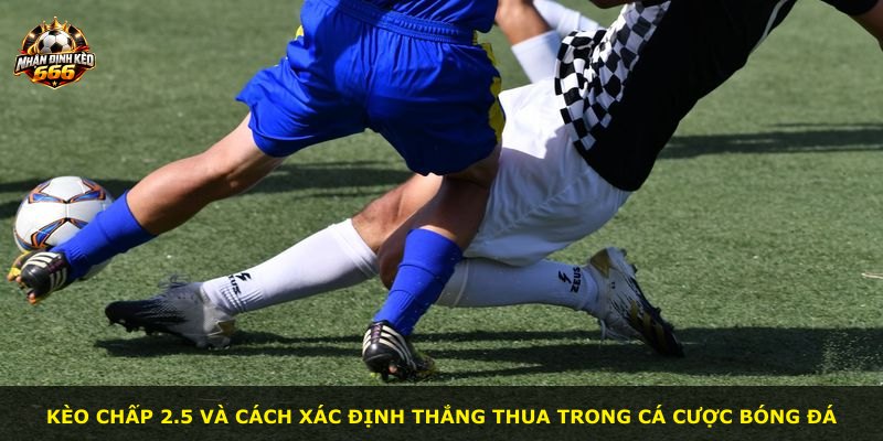 Kèo chấp 2.5 và cách xác định thắng thua trong cá cược bóng đá