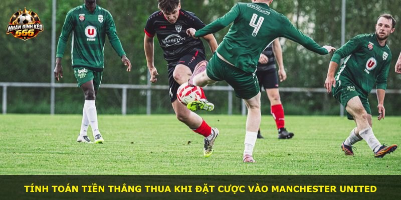 Tính toán tiền thắng thua khi đặt cược vào Manchester United