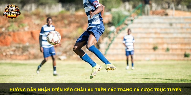 Hướng dẫn nhận diện kèo châu Âu trên các trang cá cược trực tuyến
