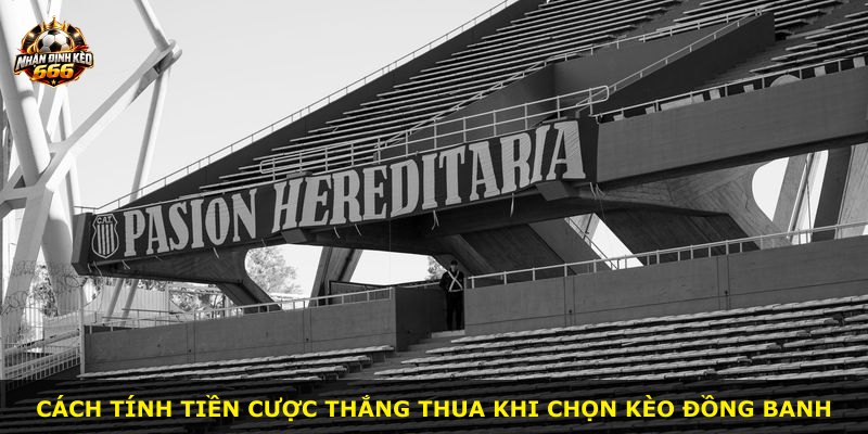 Cách tính tiền cược thắng thua khi chọn kèo đồng banh