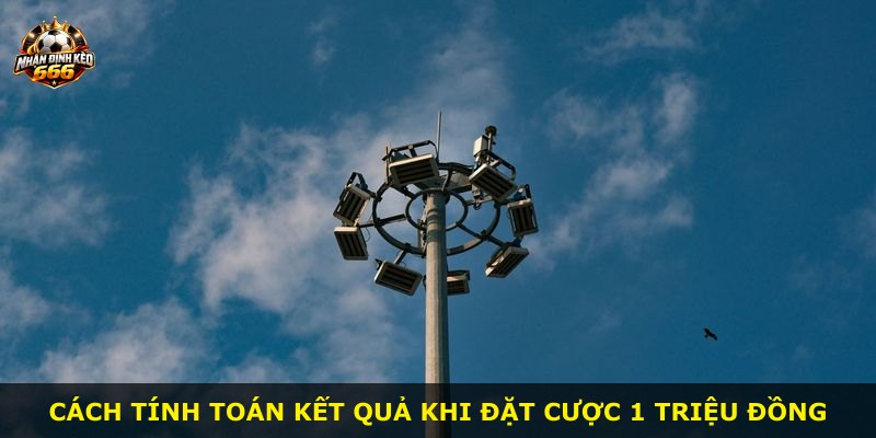 Cách tính toán kết quả khi đặt cược 1 triệu đồng