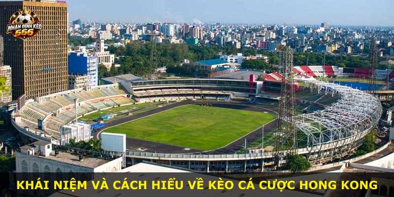 Khái niệm và cách hiểu về kèo cá cược Hong Kong