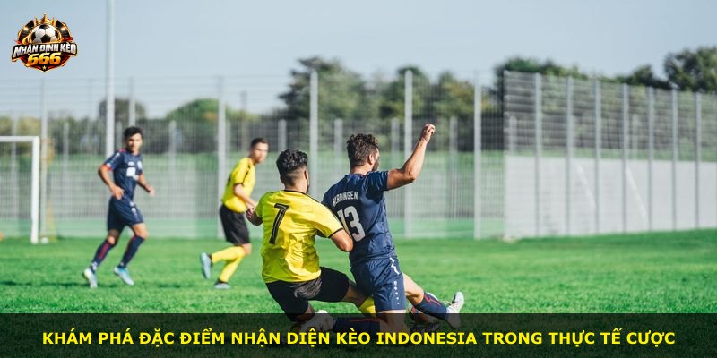 Khám phá đặc điểm nhận diện kèo Indonesia trong thực tế cược