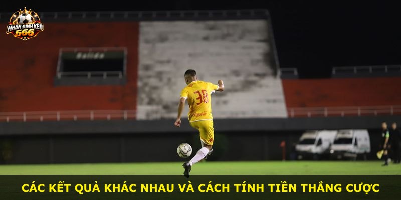 Các kết quả khác nhau và cách tính tiền thắng cược