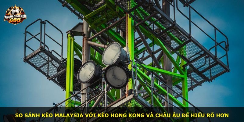 So sánh kèo Malaysia với kèo Hong Kong và châu Âu để hiểu rõ hơn