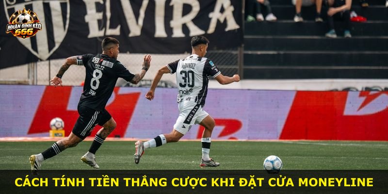 Cách tính tiền thắng cược khi đặt cửa Moneyline