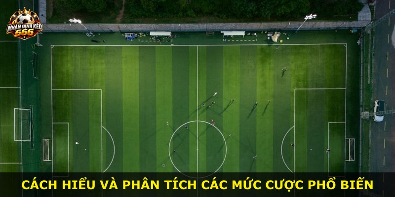 Cách hiểu và phân tích các mức cược phổ biến