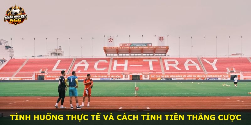 Tình huống thực tế và cách tính tiền thắng cược