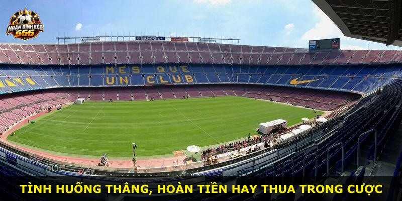 Tình huống thắng, hoàn tiền hay thua trong cược
