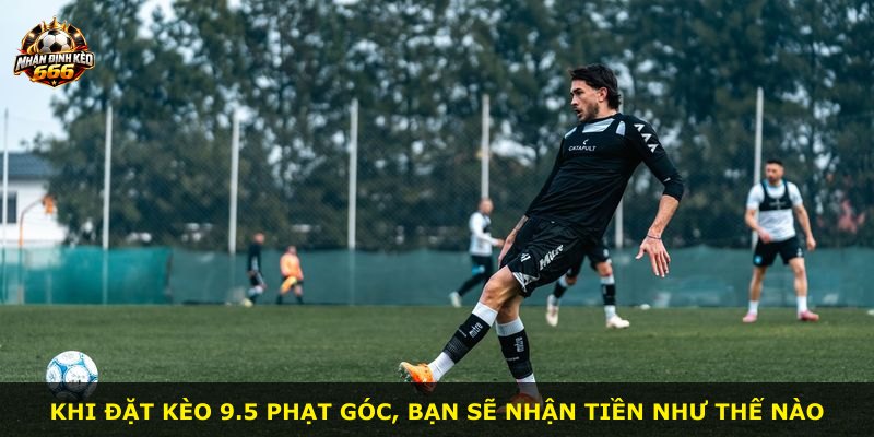 Khi đặt kèo 9.5 phạt góc, bạn sẽ nhận tiền như thế nào