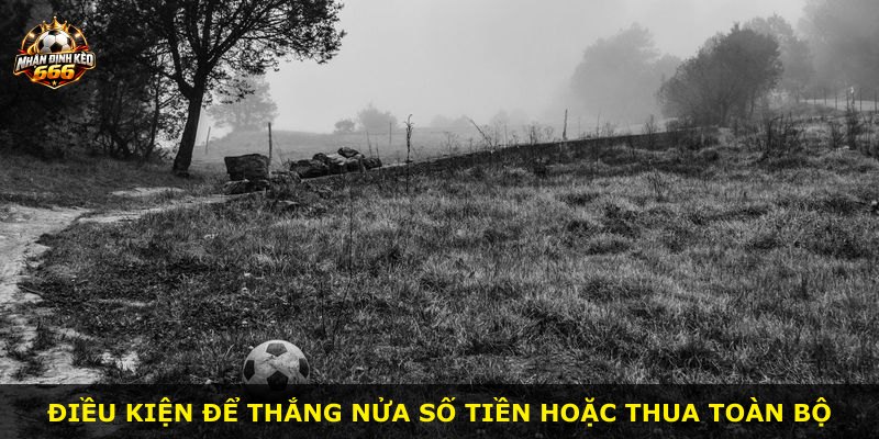 Điều kiện để thắng nửa số tiền hoặc thua toàn bộ