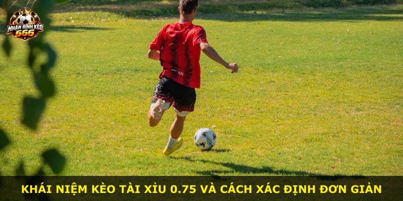 Khái niệm kèo tài xỉu 0.75 và cách xác định đơn giản