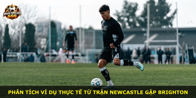 Phân tích ví dụ thực tế từ trận Newcastle gặp Brighton