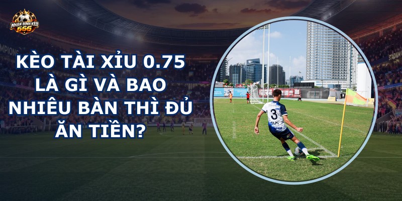 Kèo tài xỉu 0.75 là gì