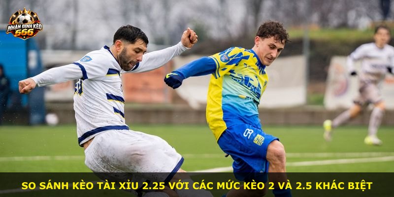 So sánh kèo tài xỉu 2.25 với các mức kèo 2 và 2.5 khác biệt
