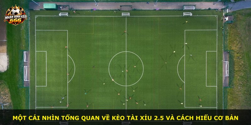 Một cái nhìn tổng quan về kèo tài xỉu 2.5 và cách hiểu cơ bản