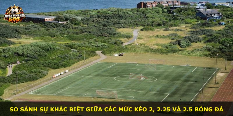 So sánh sự khác biệt giữa các mức kèo 2, 2.25 và 2.5 bóng đá