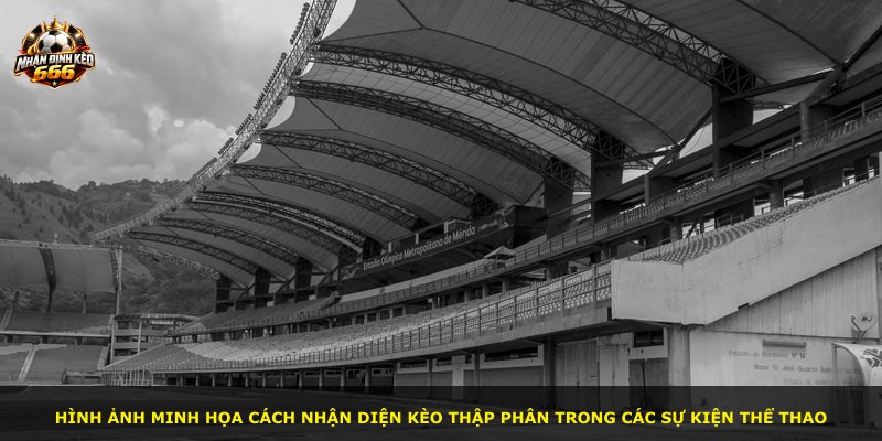 Hình ảnh minh họa cách nhận diện kèo thập phân trong các sự kiện thể thao