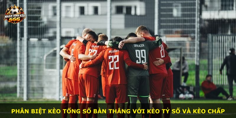 Phân biệt kèo tổng số bàn thắng với kèo tỷ số và kèo chấp