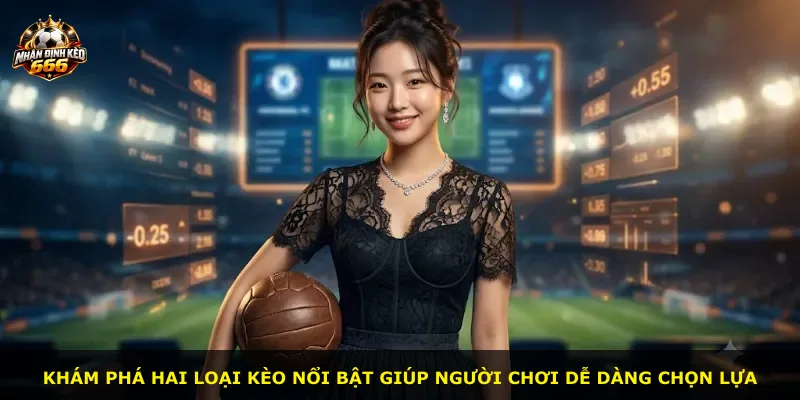 Khám phá hai loại kèo nổi bật giúp người chơi dễ dàng chọn lựa