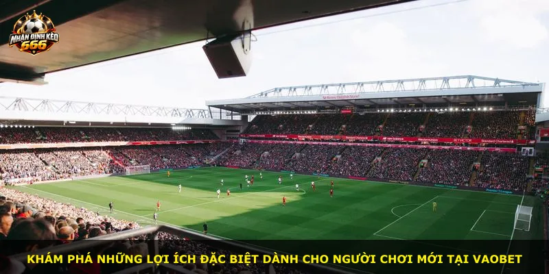 Khám phá những lợi ích đặc biệt dành cho người chơi mới tại VAOBET